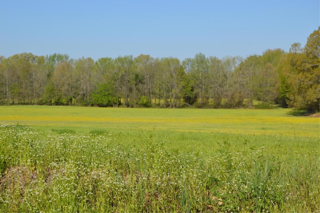 Mississippi